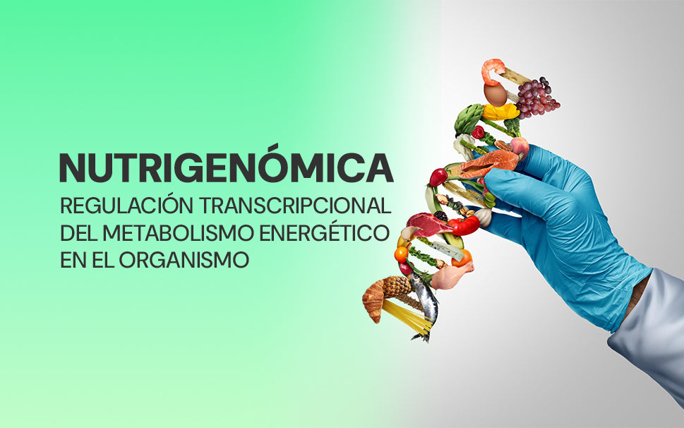 Nutrigenómica
